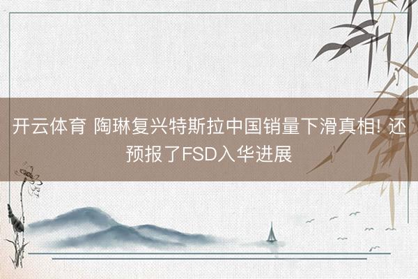 开云体育 陶琳复兴特斯拉中国销量下滑真相! 还预报了FSD入华进展