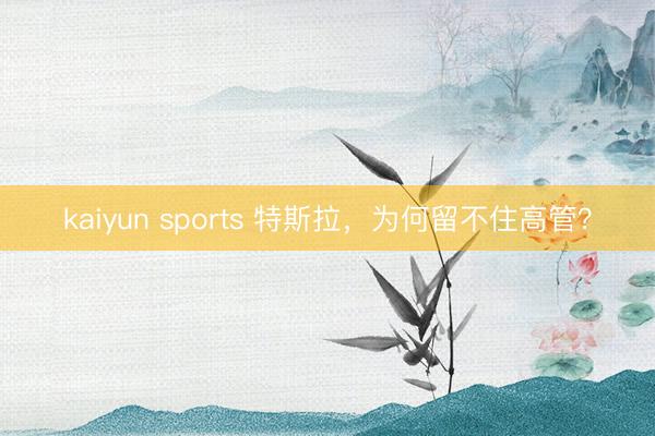 kaiyun sports 特斯拉，为何留不住高管？